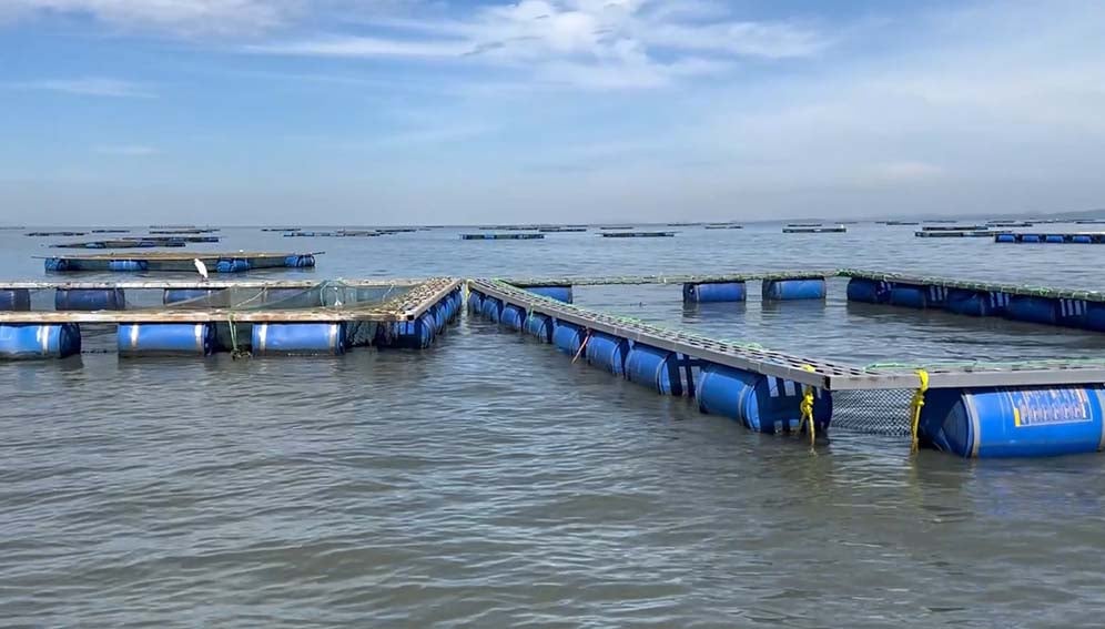 Fish cages on the lake at Dunga