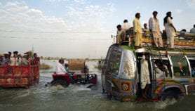 Multiple dengue strains plague Pakistan