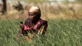 Building a culture of science in Sub-Saharan Africa