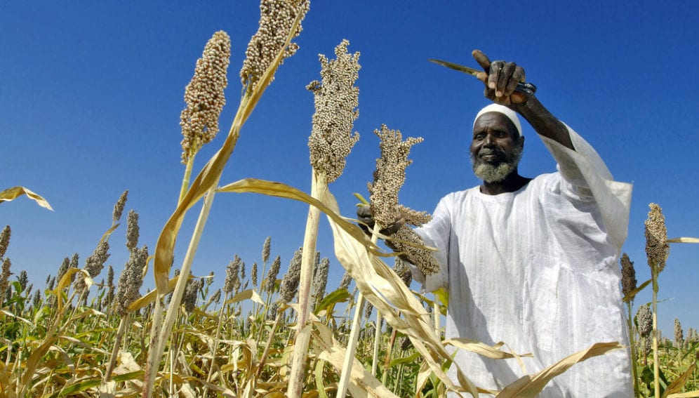 African Farmer_Flickr_Africa Renewal_UN Photo_Fred Noy
