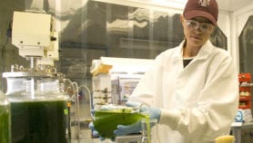German eco-prize ‘benefits developing world researchers’