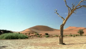 Public bemused by risk language in IPCC reports