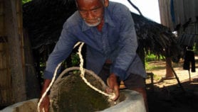 Bioenergy and food security need linked policy, says UN