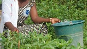 Enabling African women to deliver enterprise success