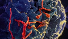 Ebola vaccine arrives in Liberia for large-scale trial
