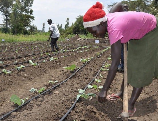promising farming practices