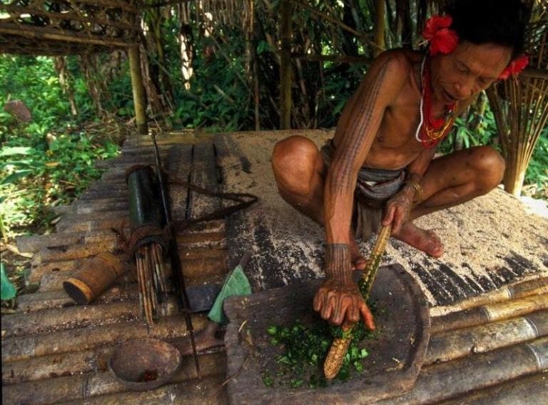 herbal medicine.
