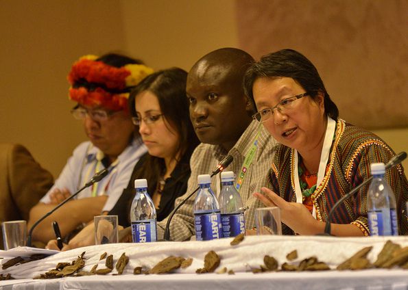 Indigenous Peoples
