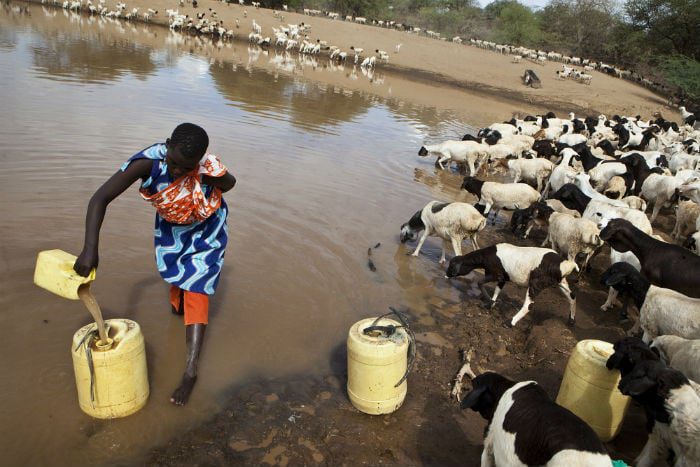 Kenya irrigation.jpg