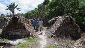 Madagascar: an imperilled nature sanctuary