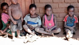 Gut bacteria protect against stunting