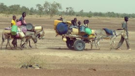 Climate now biggest driver of migration, study finds