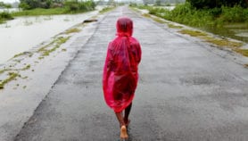 Megacities worsen climate-prone diseases