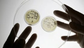 Genomics tool made to study disease in Africa