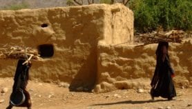 Yemen’s forests another casualty of war amid fuel crisis