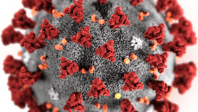 Coronavirus mutations ‘no cause for alarm’