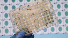 Antimicrobial resistance: facts and figures