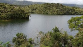 ‘Act now’ to save Brazil’s rivers, avoid water crisis
