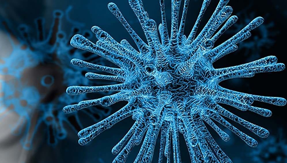 Coronavirus - MAIN2