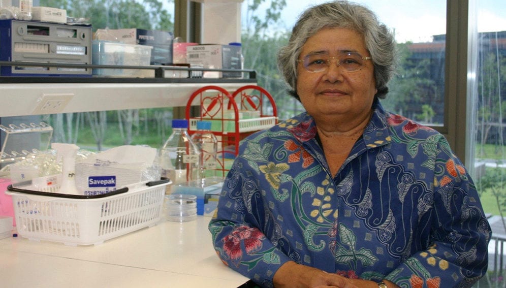 Dr. Krisana Kraisintu-main