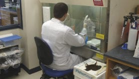 New tropical disease detected in Brazil defies treatment