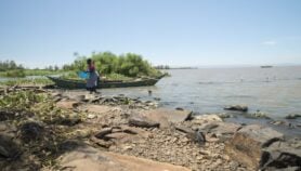 Climate change plans ‘fail to tackle invasive species’