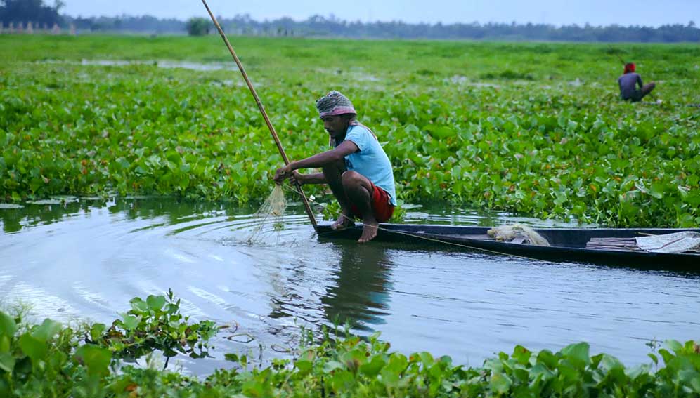 Water hyacinth, a fast-spreading aquatic weed, began choking the lake that had sustained his community.
