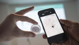 AI and citizens detect invasive mosquito in Madagascar