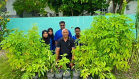 Maldives meets UN goal to cut deaths from chronic diseases