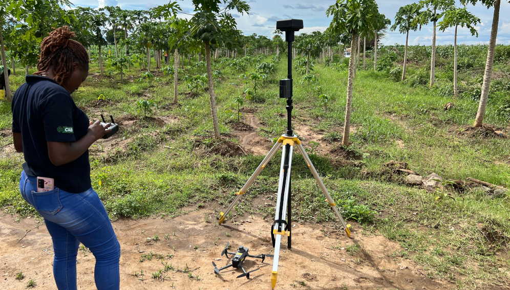 CABI's drone pilot Violet Ochieng preparing a drone to investigate and collect evidence of a devastating mealybug outbreak on papaya farms in Baringo county in Kenya. A new report says scientific research plays a pivotal role in shaping global development and food security agendas. Photo by Davis Weddi