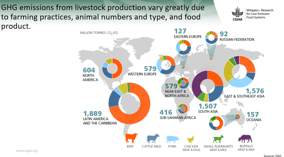 GHG emmissions from livestock