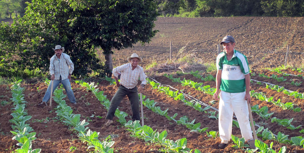 The challenge for Latin America is to reduce agriculture emissions while preserving the quality of life for farmers and the sustainability of their lands. Credit: M. Beltrán/Bioversity International under CC Lic., Atrib. 2.0