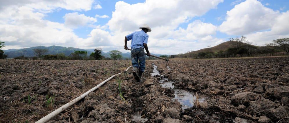 The supply of nitrogen to the soil must coincide with the actual demand of the plant because the excessive use of fertilizers also contributes to increased emissions of GHG. Credit: Neil Palmer/CIAT under CC Lic., Atrib. 2.0