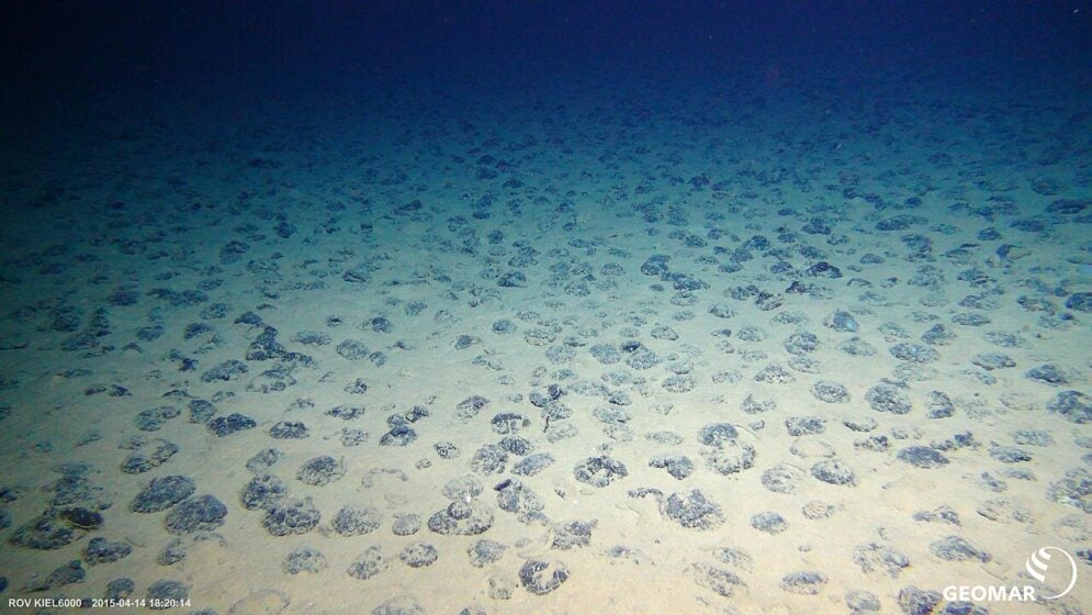 A GEOMAR image of Manganese nodules on the seafloor in the CCZ. The zone is the world's largest mineral exploration region, full of mineral-rich deposits of cobalt, nickel, manganese and rare earths.
