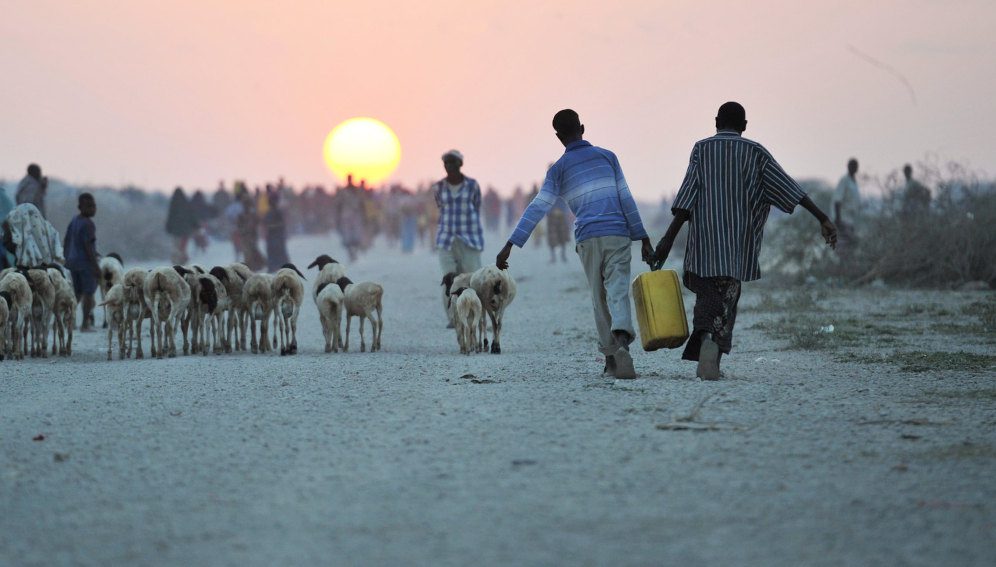 Two young boys carrying water walk down a road next to a camp for internally displaced persons (IDPs) near the town of Jowhar, Somalia. Credit: UN Photo/Tobin Jones Photo Date: 14/12/2013 NICA ID: 574645 City: Jowhar Country: Somalia
