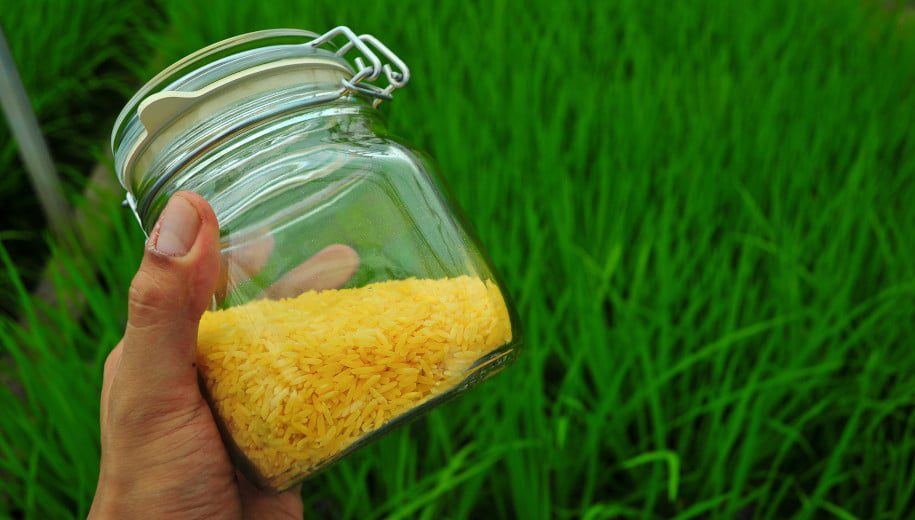 Golden Rice