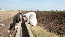 Global South farmers desperate for COP27 adaptation action