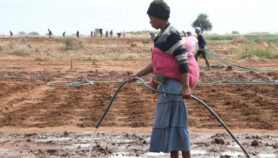 Southern Africa drought crisis demands fresh solutions