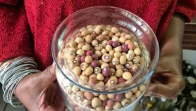 Reviving use of local seeds in African farming