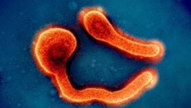 Tanzania confirms second Marburg outbreak after WHO chief visit