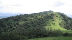 Forest loss adds to Africa’s food crisis