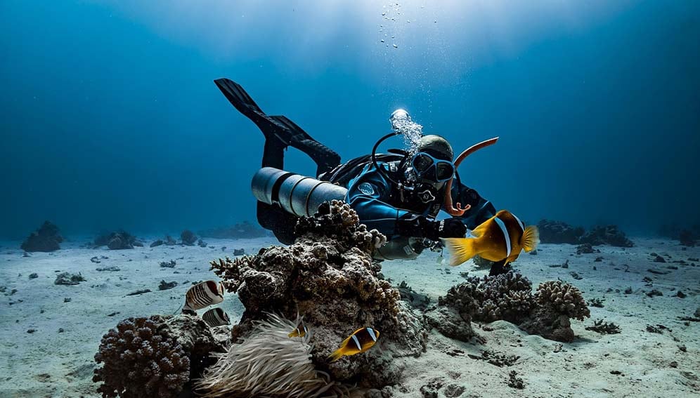 A diver examining undersea life. The world's oceans are experiencing stress from overfishing, warming, pollution, acidification, deoxygenation, extreme climate events — all happening at once, and often interacting. Image by Franziska Stier from Pixabay