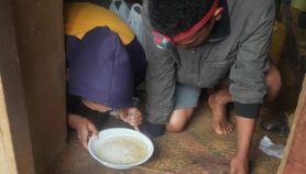 How can Madagascar eradicate the plague?