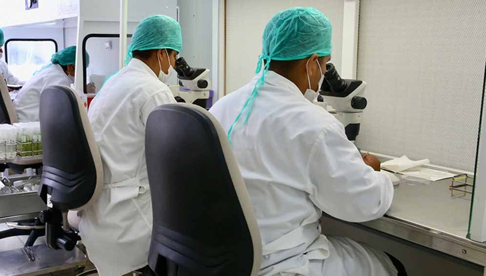 Researchers in Peru, 2018