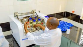 Rwandan scientists develop local yeast for banana wine-makers