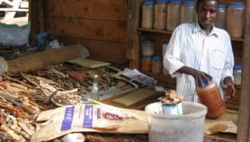 ‘Protect biodiversity to secure traditional medicine sources’