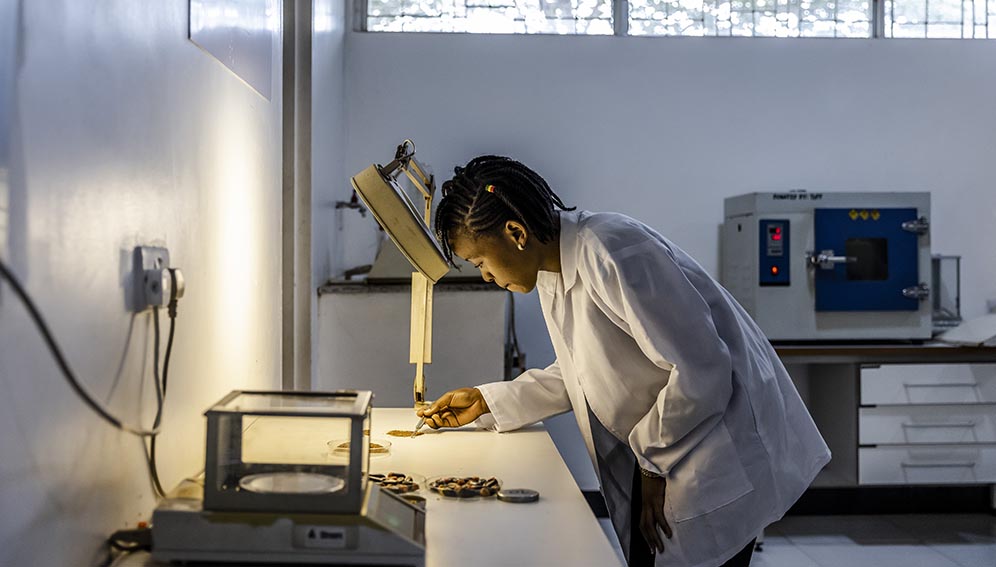 A Tanzanian scientist analyzes different seeds in a laboratory at a Tanzanian Forest Service -TFS- Tree Nursery and Seed Centre in Morogoro, Tanzania. (FAO/Luis Tato)