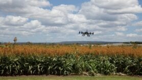 AgriAfrica: Blockchain for farming