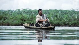 Road to COP27: nature, people and carbon markets