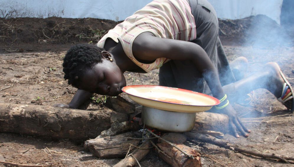 Cooking with firewood